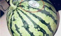 云南网红吃瓜,趣味横生引网友热议